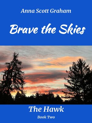 cover image of Brave the Skies